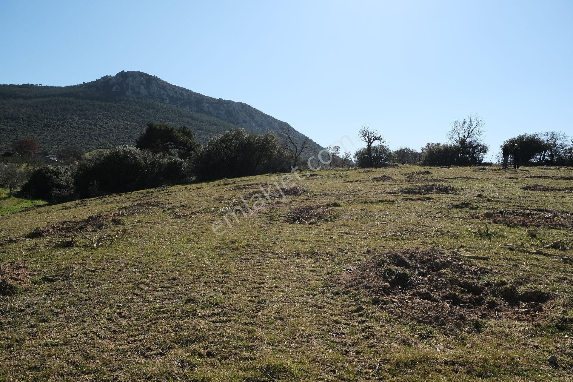 Çanakkale Ezine Tavaklı Köyü Satılık % 40 + 40 İmarlı Arsa - Görsel 19