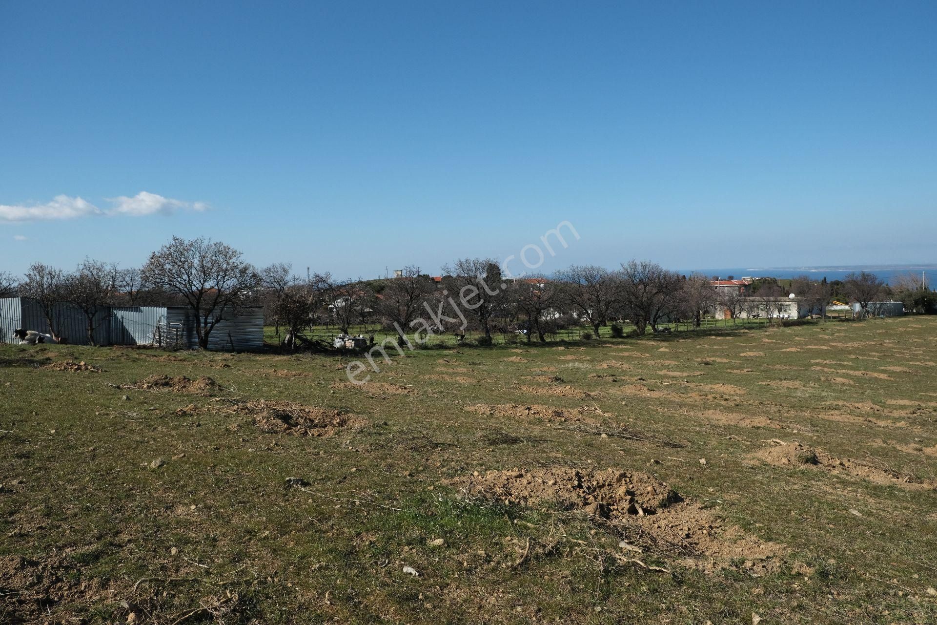 Çanakkale Ezine Tavaklı Köyü Satılık % 40 + 40 İmarlı Arsa - Görsel 11