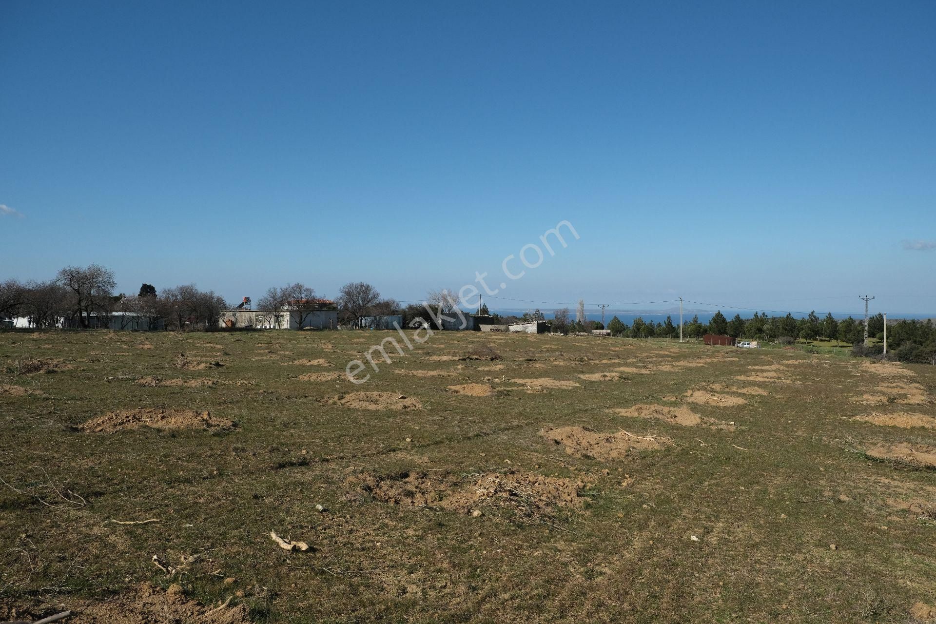 Çanakkale Ezine Tavaklı Köyü Satılık % 40 + 40 İmarlı Arsa - Görsel 20