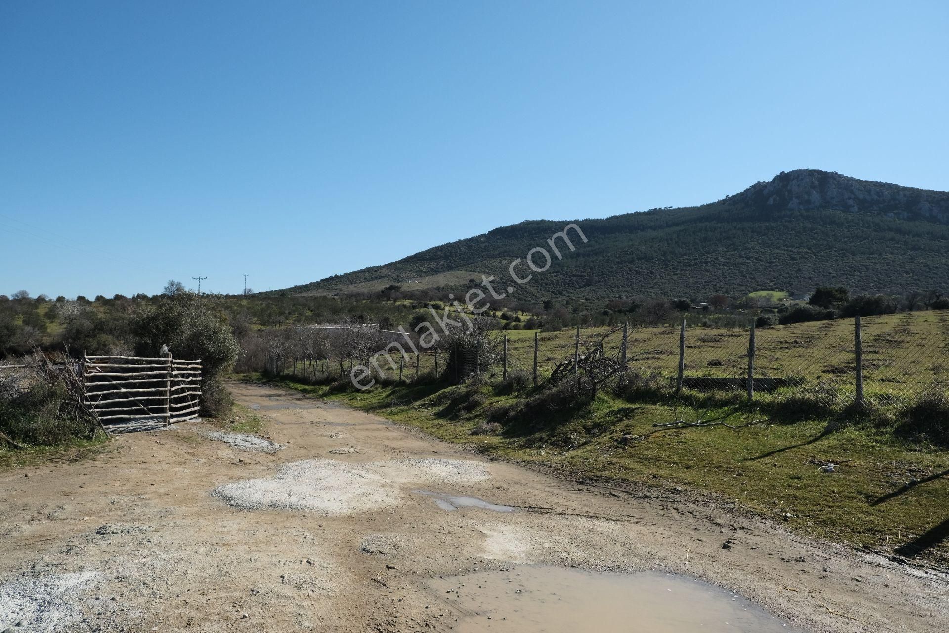 Çanakkale Ezine Tavaklı Köyü Satılık % 40 + 40 İmarlı Arsa - Görsel 23