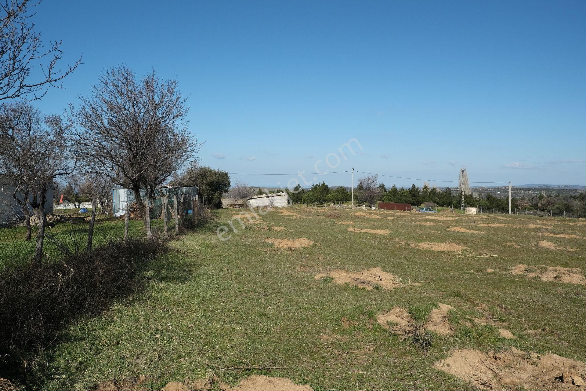 Çanakkale Ezine Tavaklı Köyü Satılık % 40 + 40 İmarlı Arsa - Görsel 7