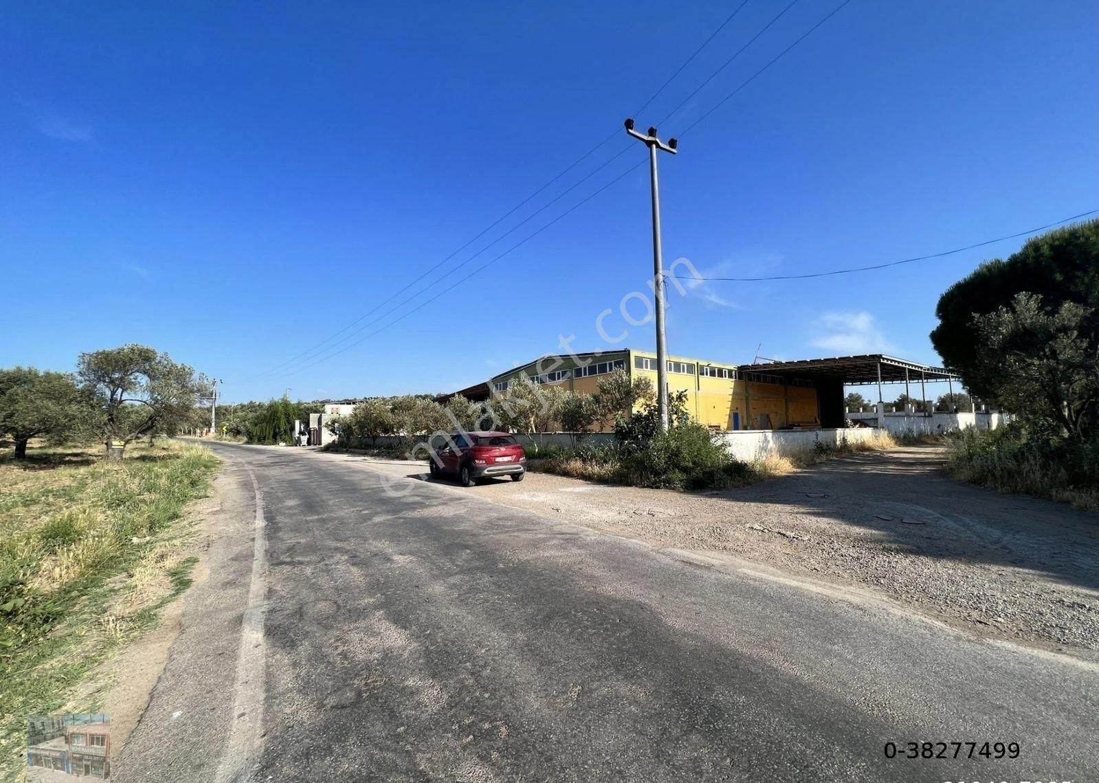 Balıkesir Ayvalık Ta Satılık Zeytinyagı Fabrikası.