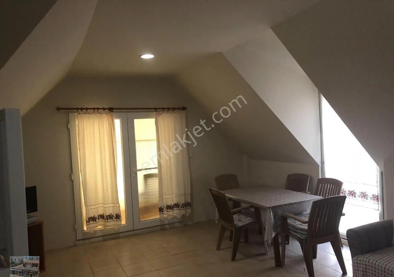 Balıkesir Ayvalık Altınova Da Satılık Ciftlikevi. - Görsel 13