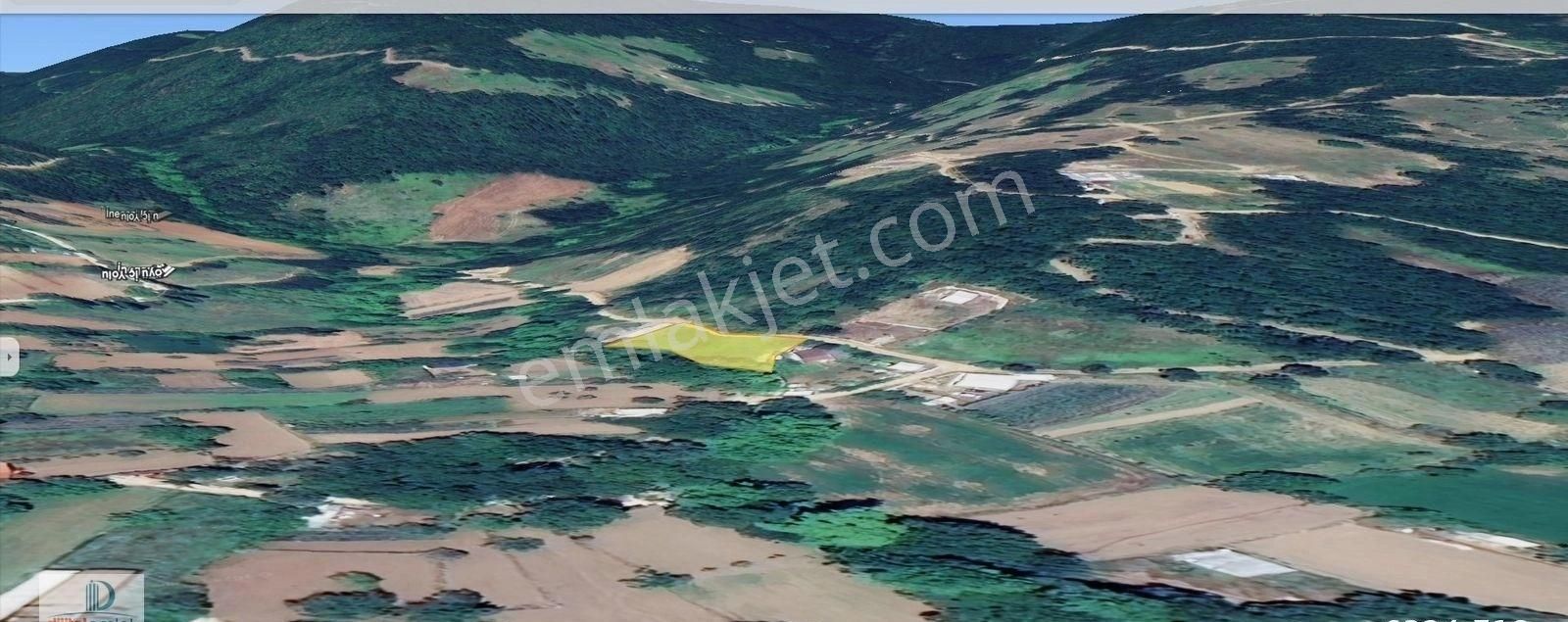 Dijitalemlak'tan Nilüfer İnegazide Köye Yakın Yola Cephe 1 Dönüm Kıymetli Tarla.