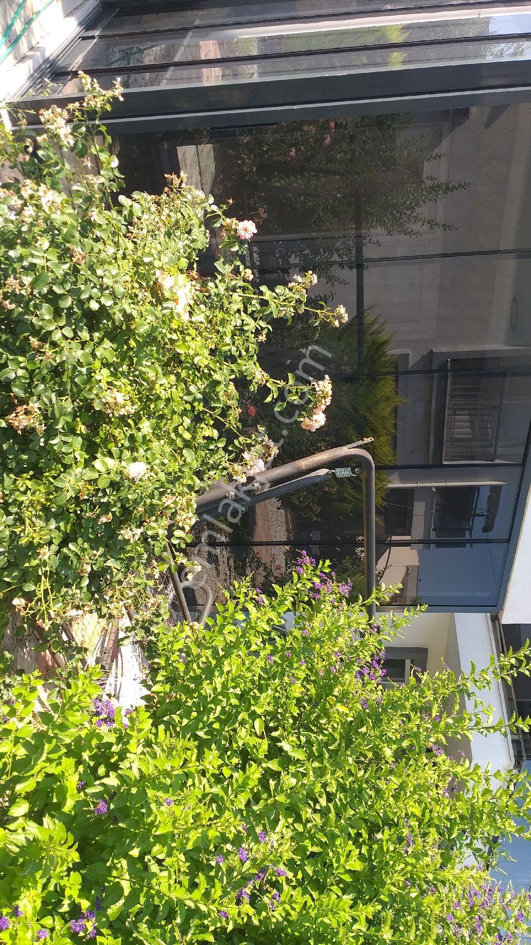 Akbük Realty World Doğa Gayrimenkul Güvencesiyle Kiralık
