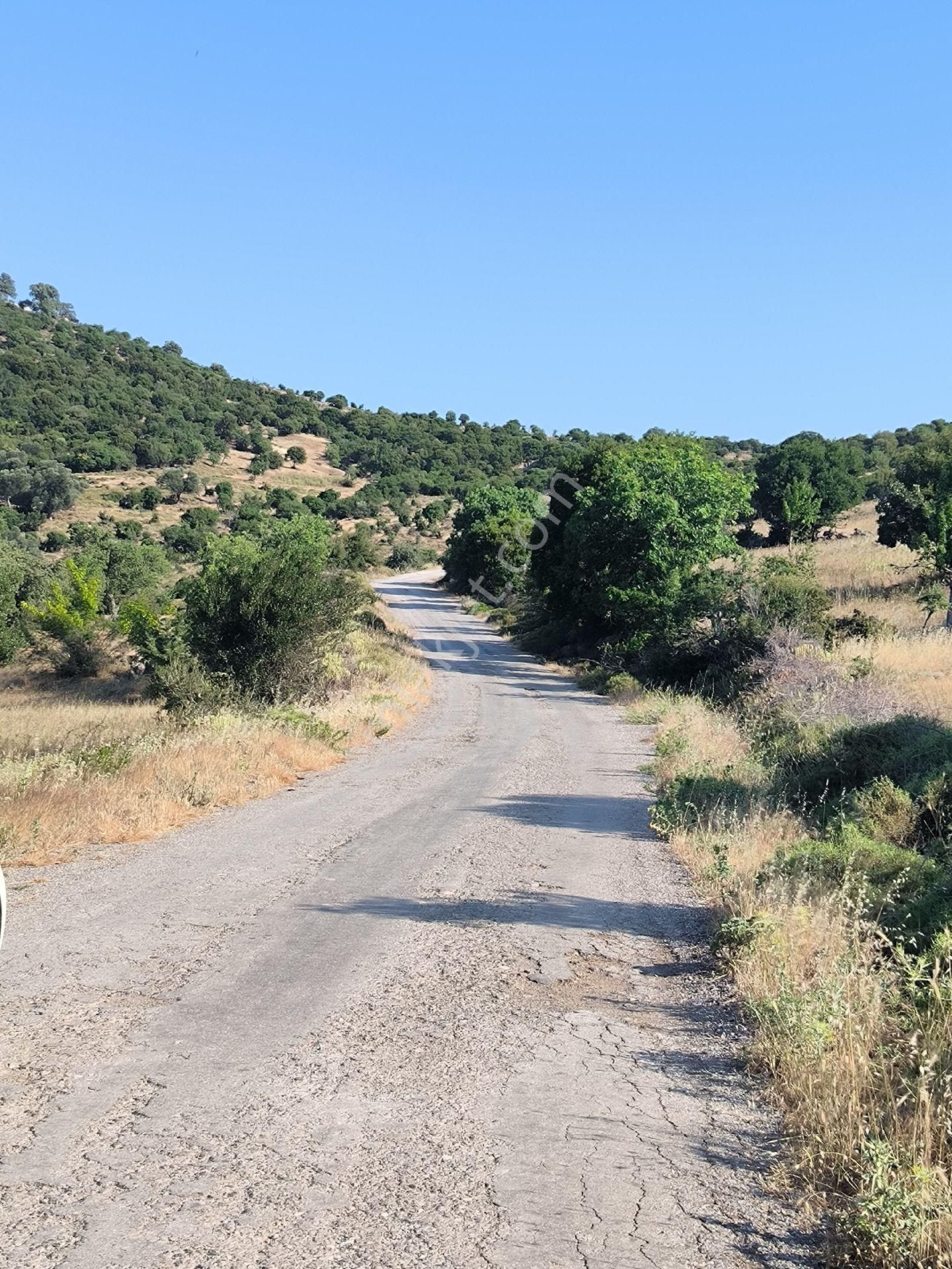 Ays Den Satılık Tarla - Görsel 6