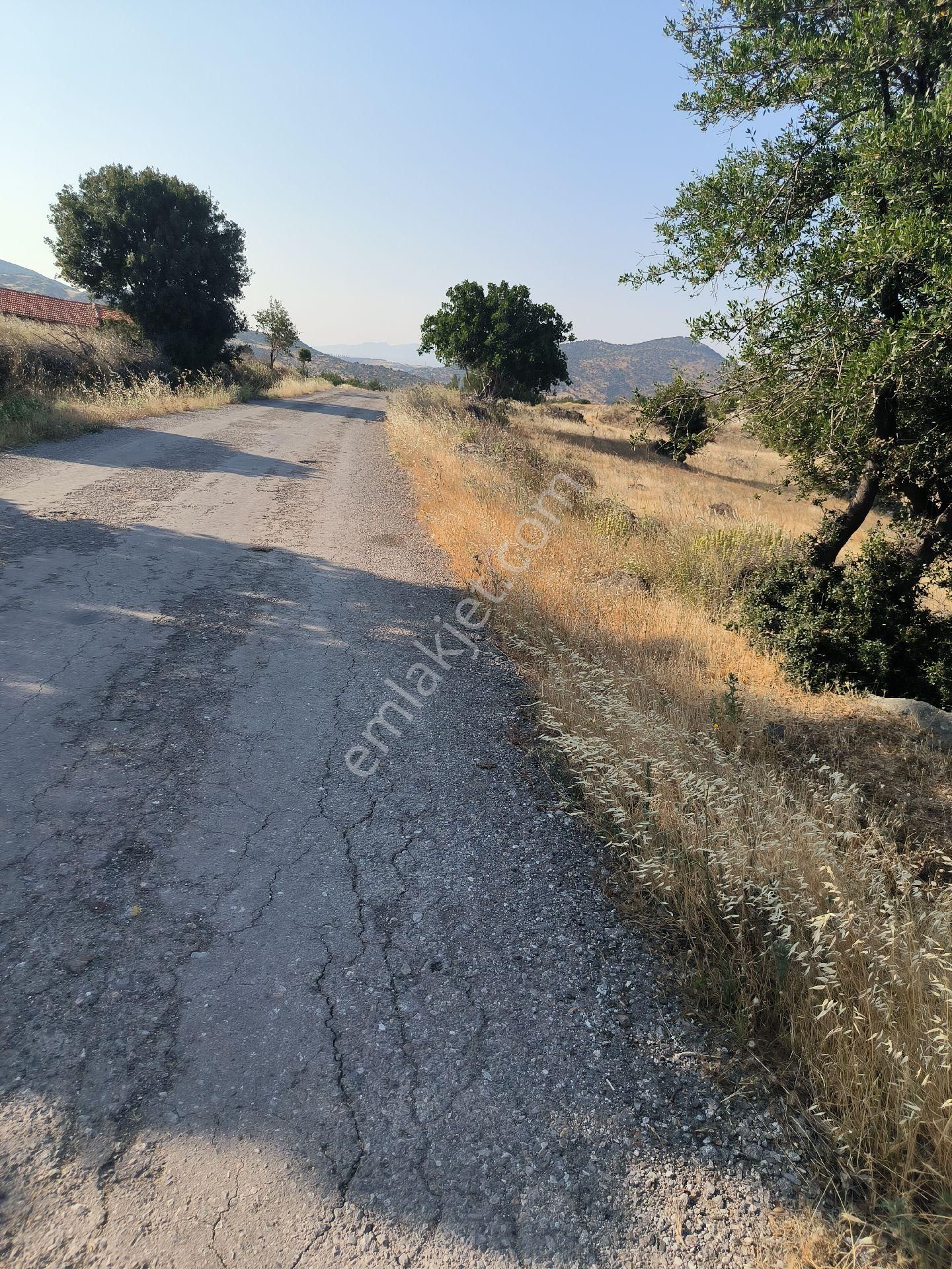 Ays Den Satılık Tarla - Görsel 3