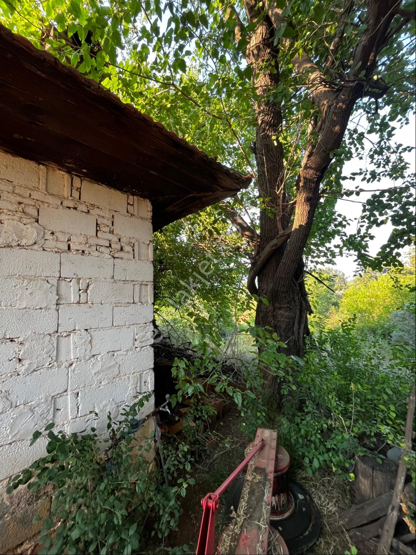 Sahibinden Satılık Tarla