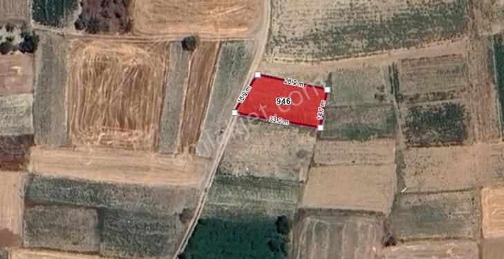 Isparta Büyükhacılar Köyü Muhteşem Konumda Kadastro Yolu Olan Satılık Tarla - Görsel 2