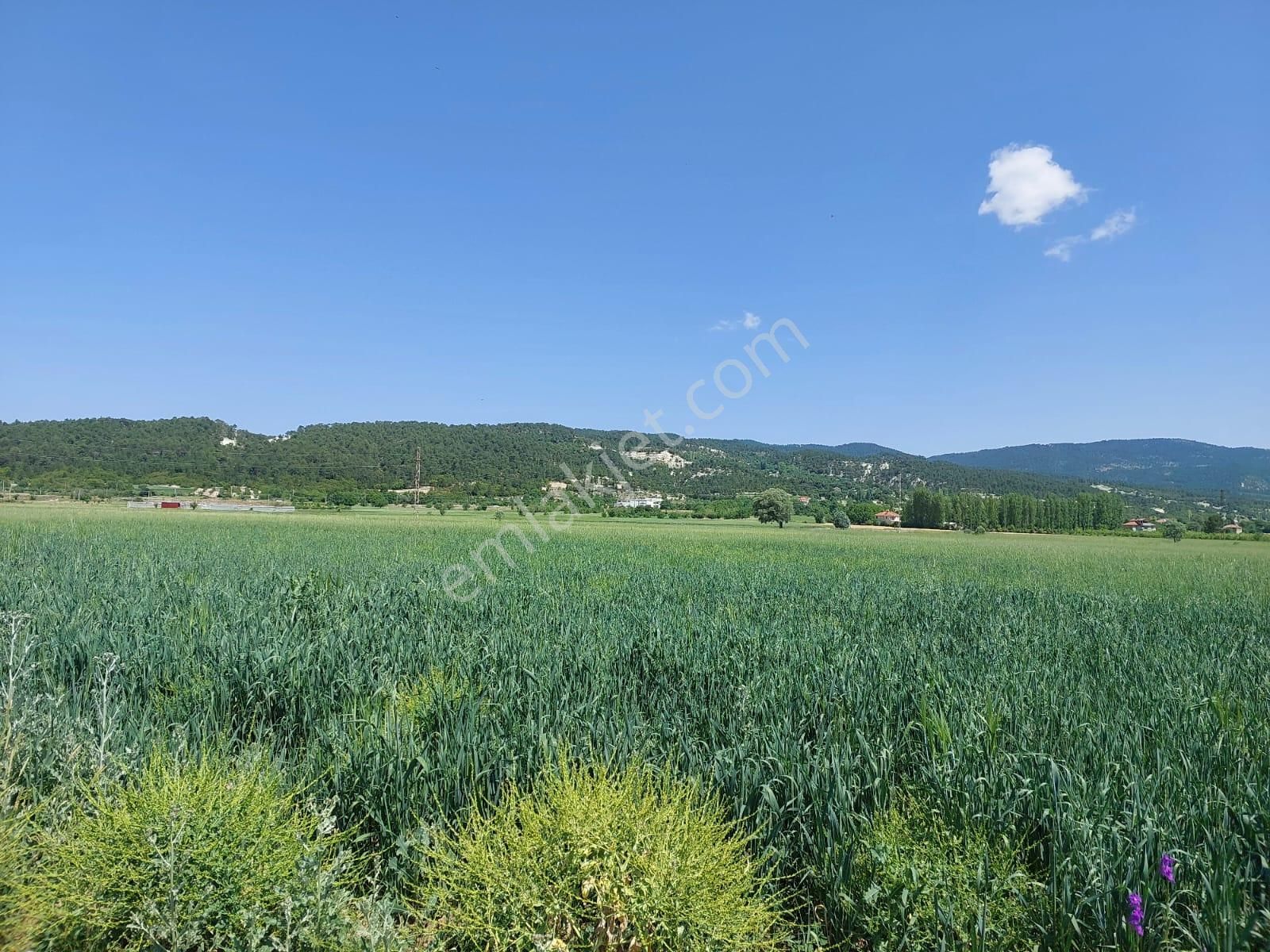 Denizli Çameli Kızılyakada Satılık1500 M2 Müstakil Tapulu Kelepir Arazi