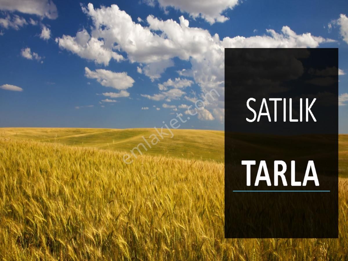 Antalya Belekte Satılık 20 Dönüm Tarla Dönümü 700.000 Tl