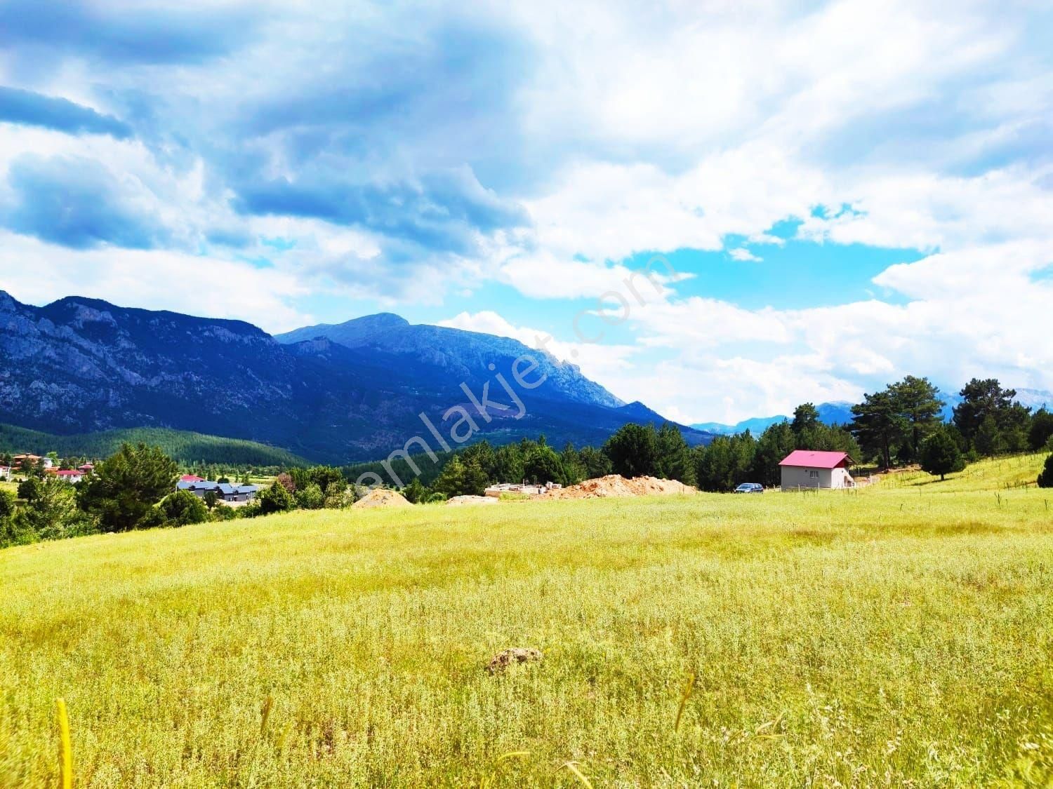 Pozantı Kar Emlak Tan Alpu Yaylasında Doğa Manzaralı 480 M2 Satılık Arsa - Görsel 18