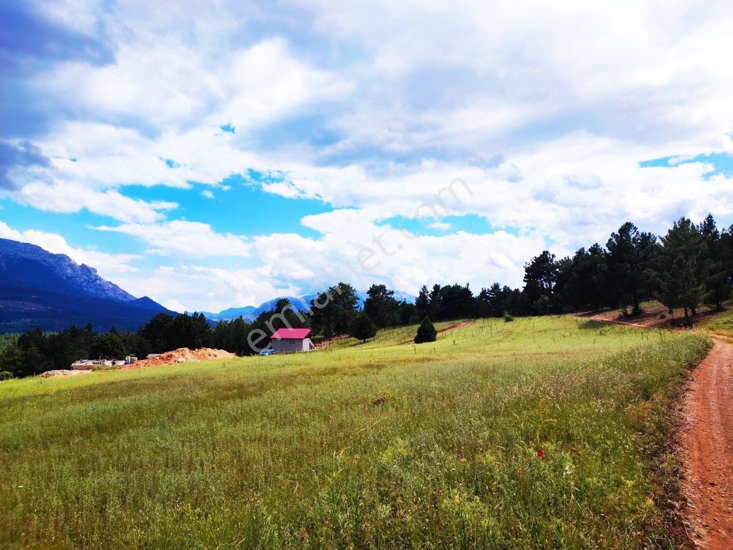 Pozantı Kar Emlak Tan Alpu Yaylasında Doğa Manzaralı 480 M2 Satılık Arsa - Görsel 3