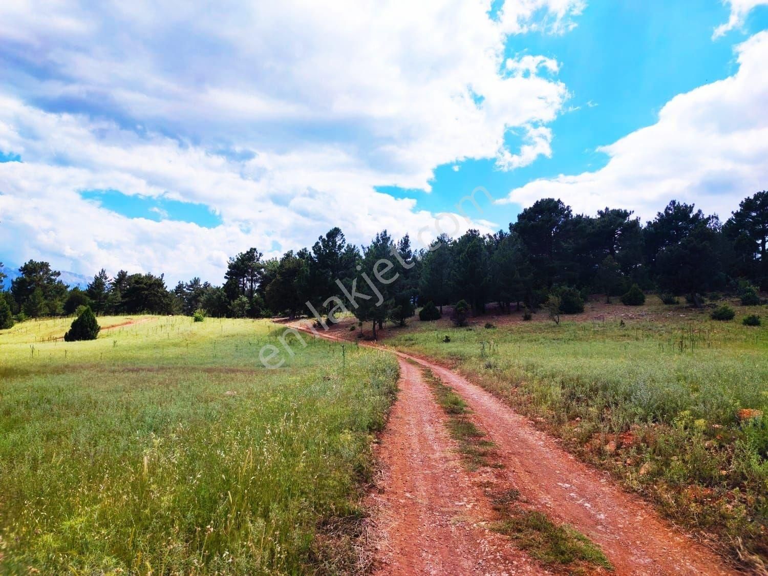 Pozantı Kar Emlak Tan Alpu Yaylasında Doğa Manzaralı 480 M2 Satılık Arsa - Görsel 15