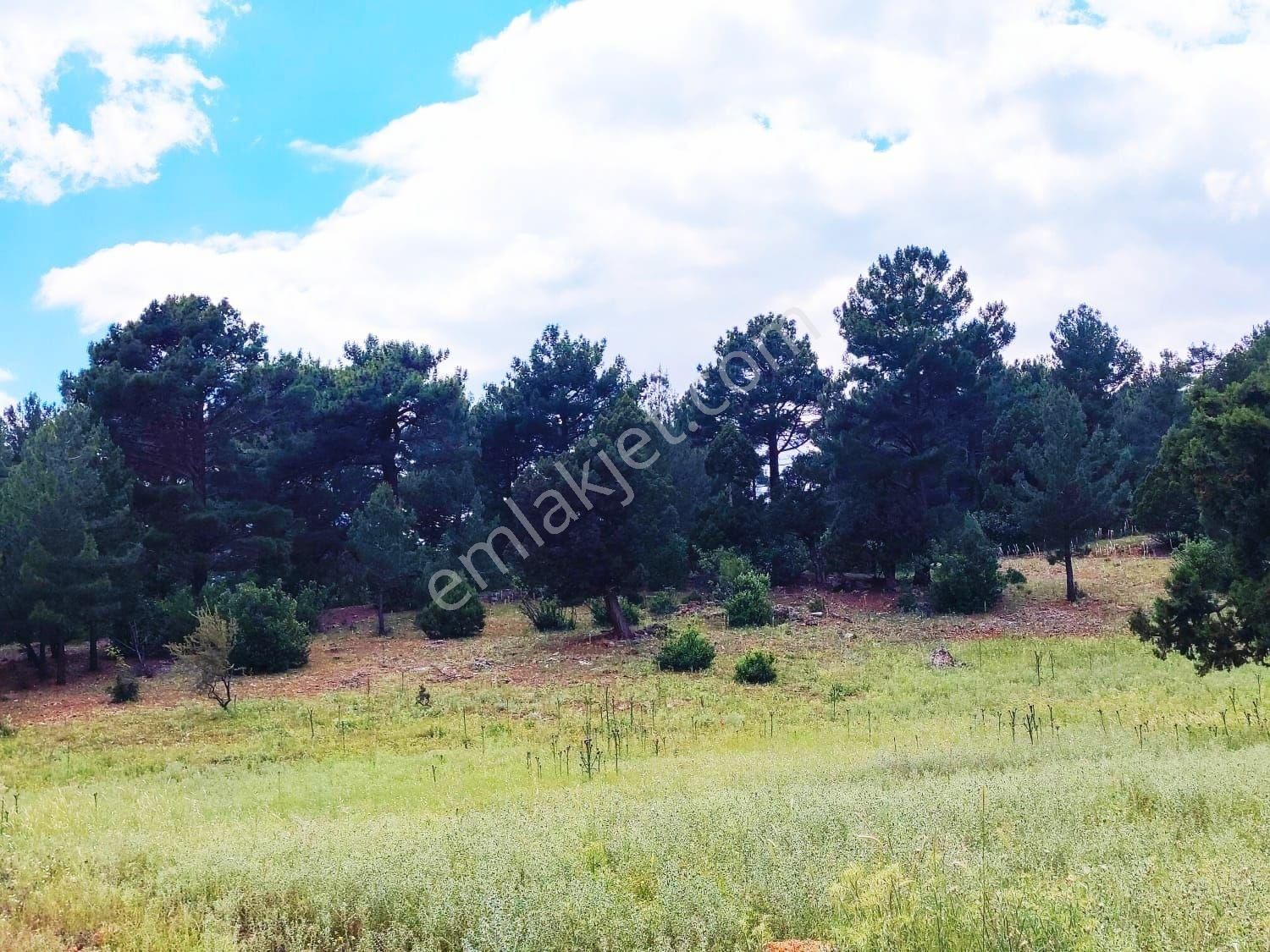 Pozantı Kar Emlak Tan Alpu Yaylasında Doğa Manzaralı 480 M2 Satılık Arsa - Görsel 8
