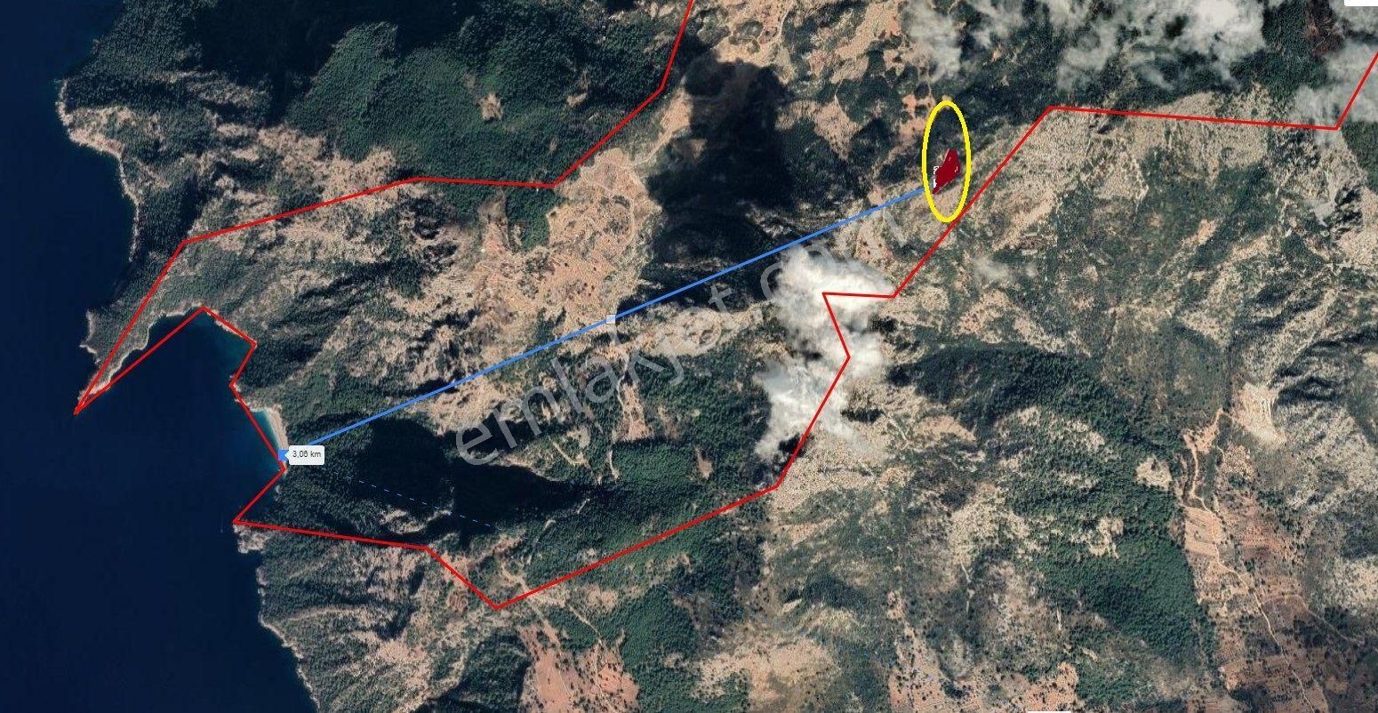 Goldhouse Dan Satılık Tarla Karaağaç Ta 5650 M2 Yatırımlık Fırsat - Görsel 3