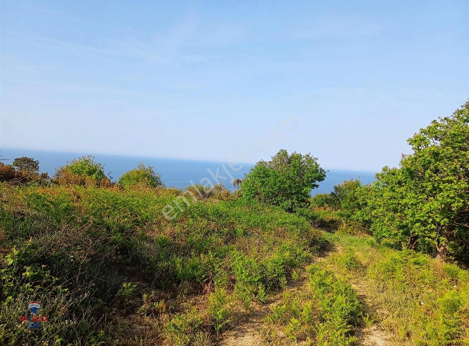 Şile Kızılca Mah. Denize Nazır, Yola Cepheli 904 M2 Arsa - Görsel 10