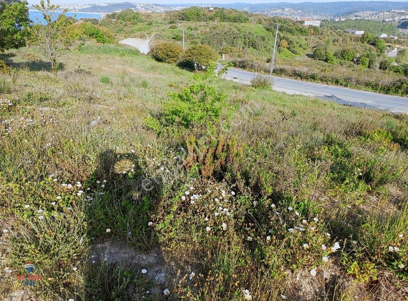 Şile Kızılca Mah. Denize Nazır, Yola Cepheli 904 M2 Arsa - Görsel 3