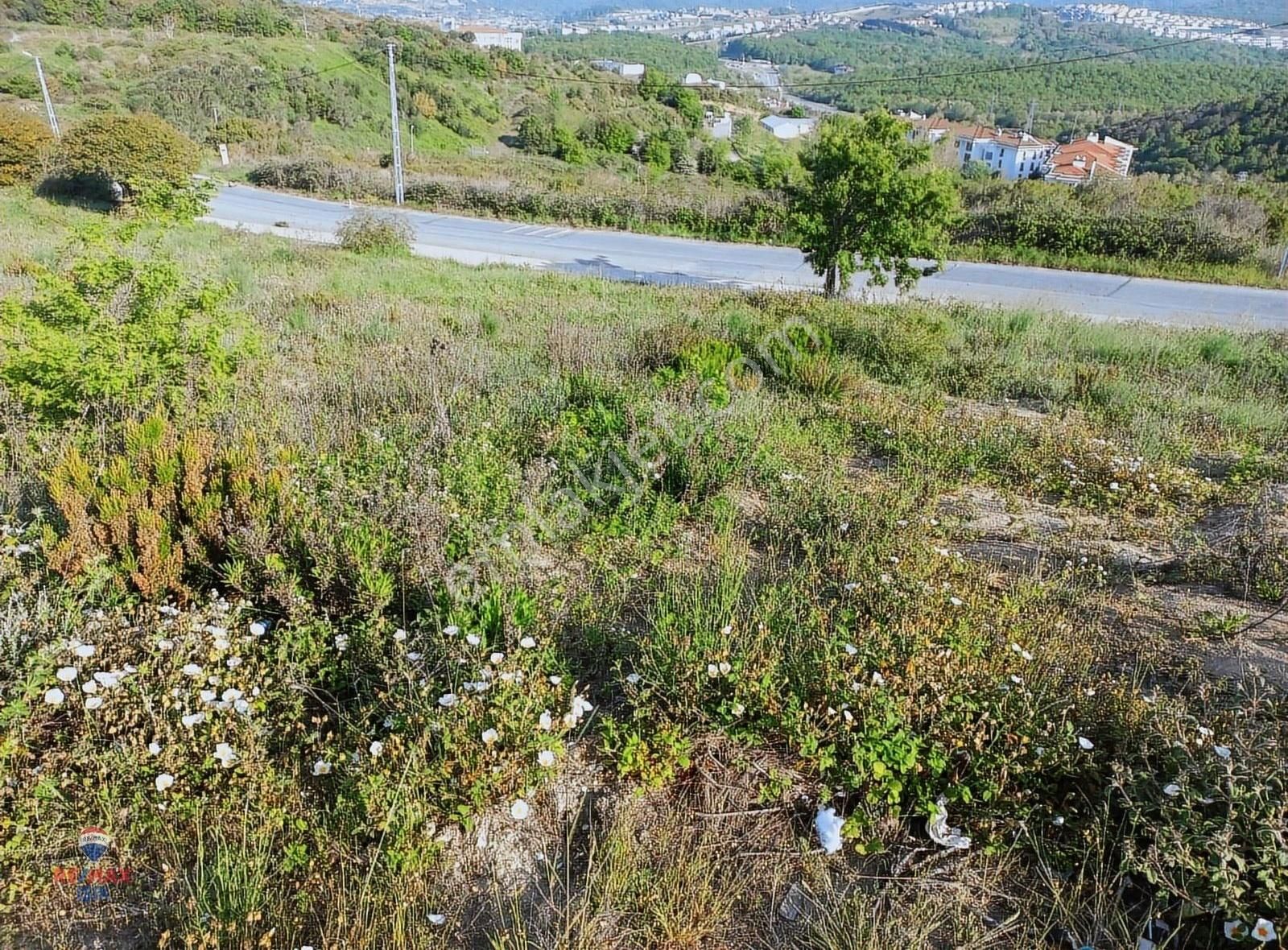 Şile Kızılca Mah. Denize Nazır, Yola Cepheli 904 M2 Arsa - Görsel 2