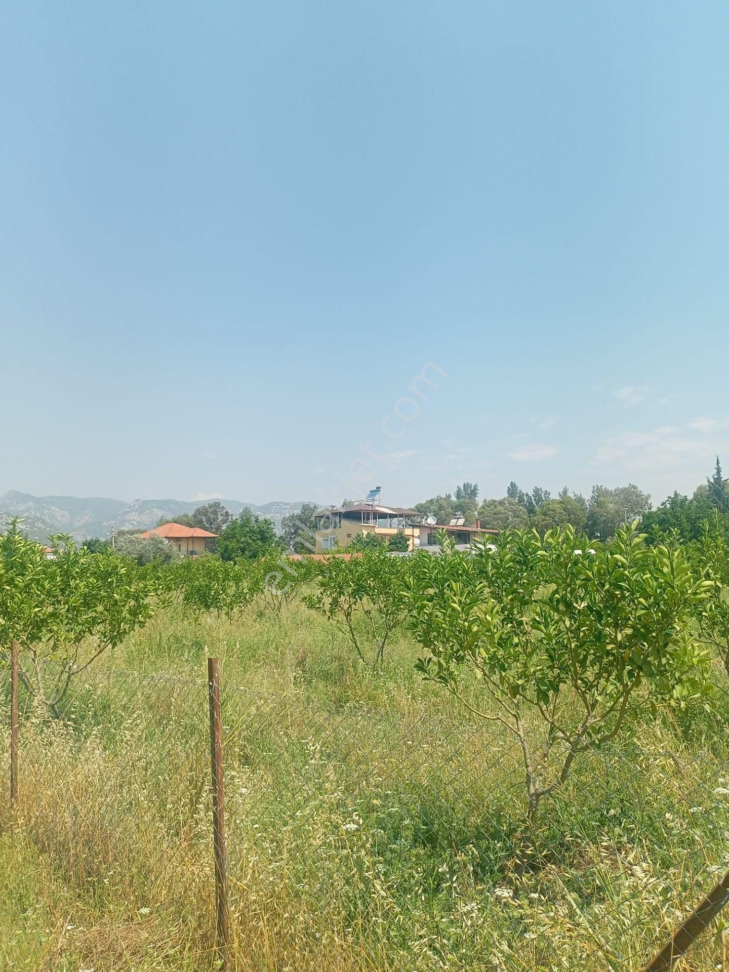 Döşemealtı Bıyıklı Mah Toplam 14 Adet Satılık Parsel Ve 2 Katlı Havuzlu Ev - Görsel 15