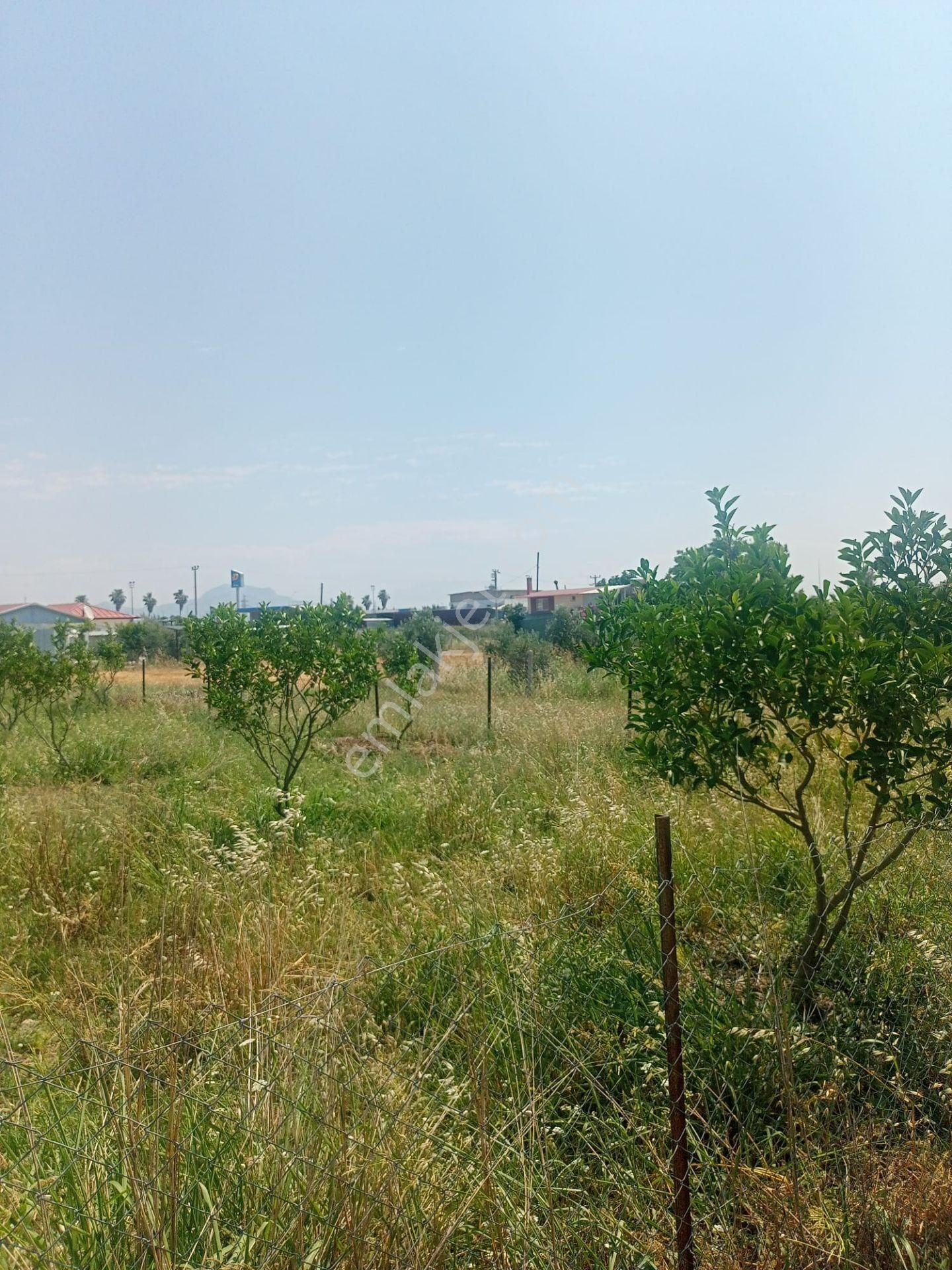Döşemealtı Bıyıklı Mah Toplam 14 Adet Satılık Parsel Ve 2 Katlı Havuzlu Ev - Görsel 26