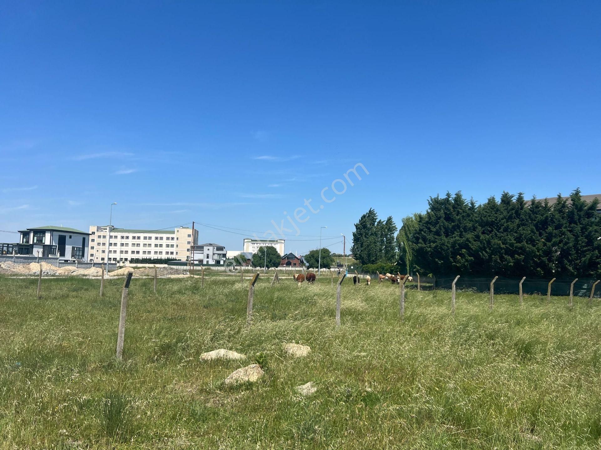 Akyüz Gayrimenkul Den G.m.k.paşa Ambardere De 850 Mt2 Villa Arsası