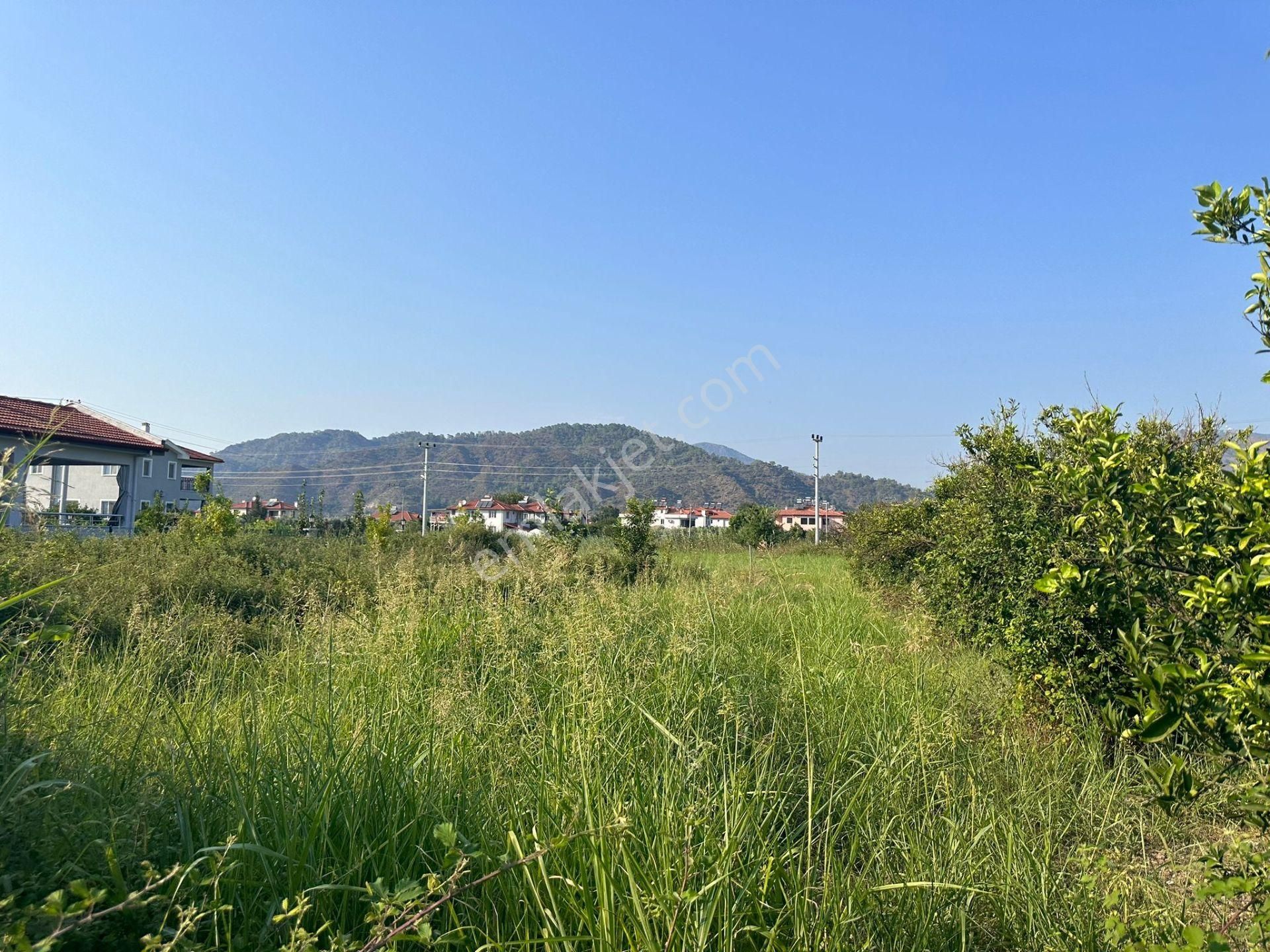 Ortaca Dikmekavak Da 500 M2 Satılık Arsa - Görsel 7