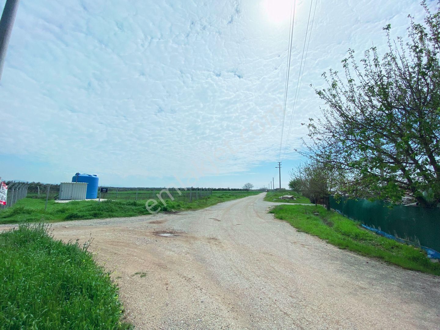 Mendereste 500 M2 Arsa ( Açıklamayı Tam Okuyun )