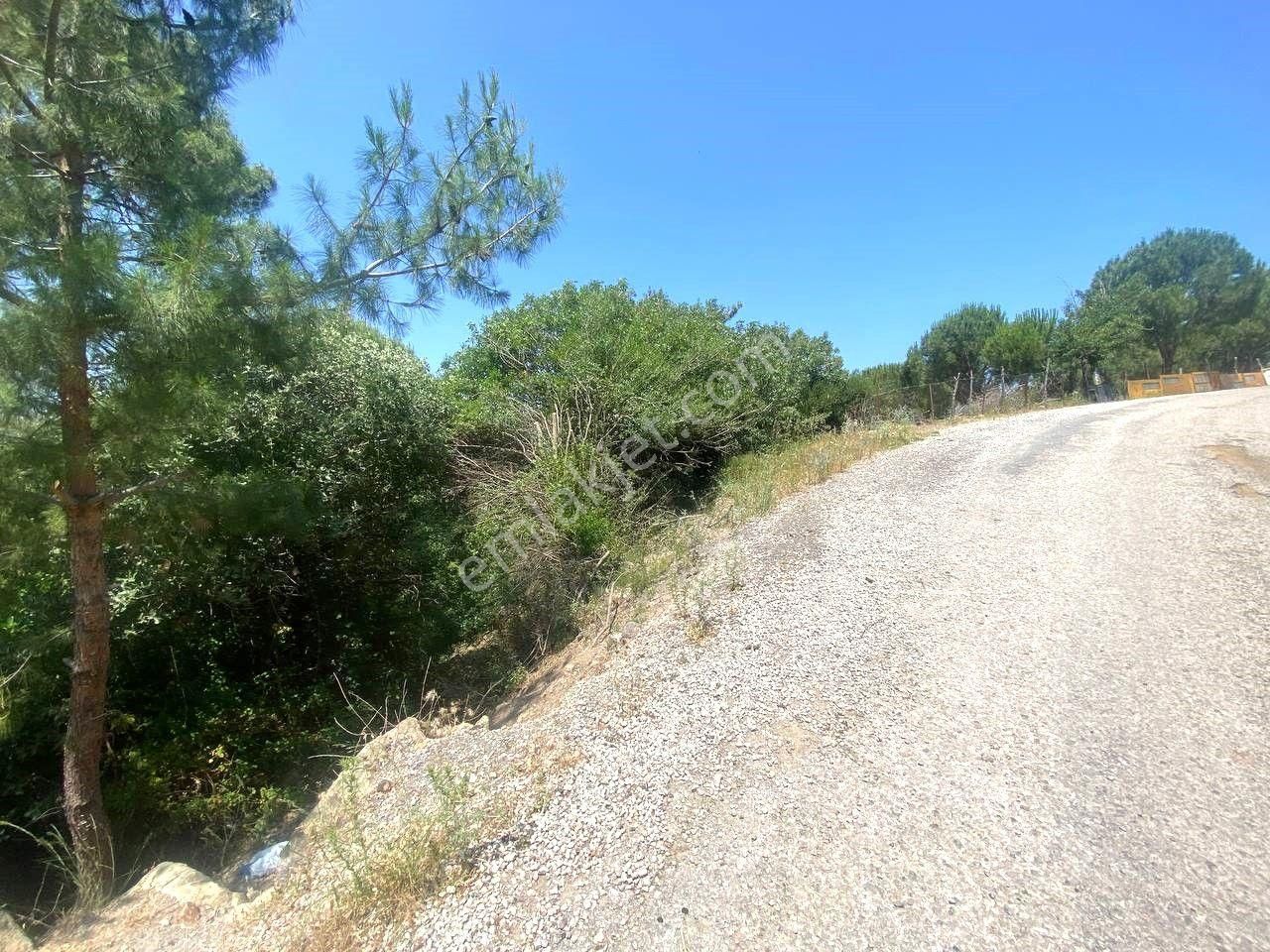 🔴🔴aktif'ten Burhaniye Sübeylidere'de 1768m2 Ana Yola Cepheli Suyu Olan Satılık Tarla🔴🔴