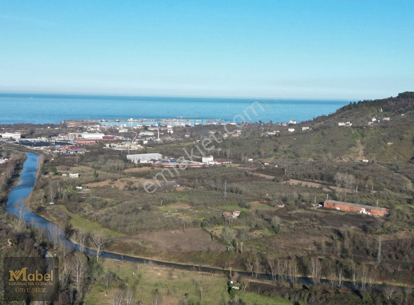 Mabel'den - Çimento Fabrikasına Sınır 11590 M2 Fındık Bahçesi
