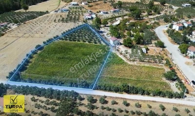 Turpa Lotus'tan Bulgurca'da Satılık İmara Çok Yakın Tarla