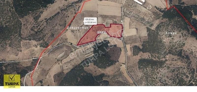 Turpa Lotus'tan 35.000 M2 Satılık Tarla -tavuk Çiftliği Ruhsatlı