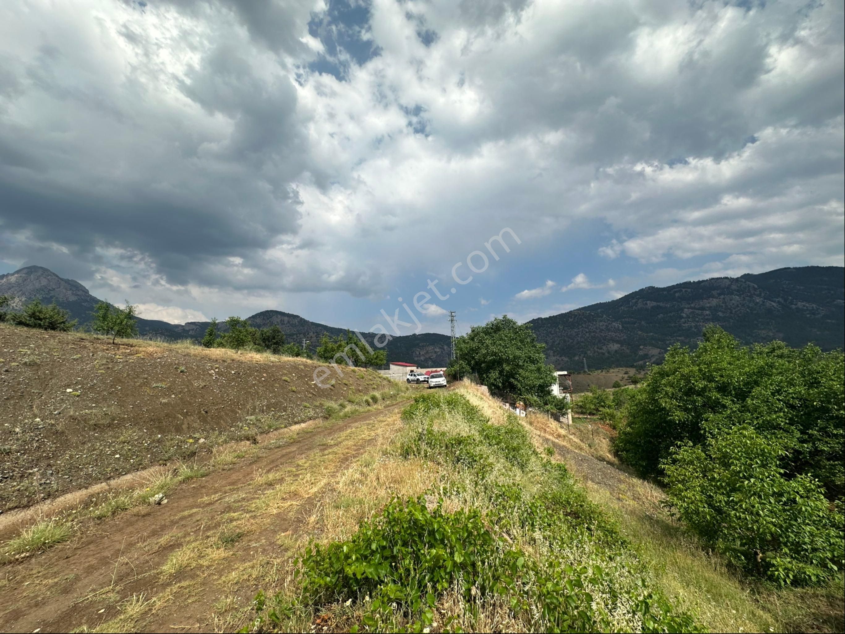 Pozantı Selçuk Emlak’tan Kamışlı Güzelardıç’ta Satılık 422m Tarla