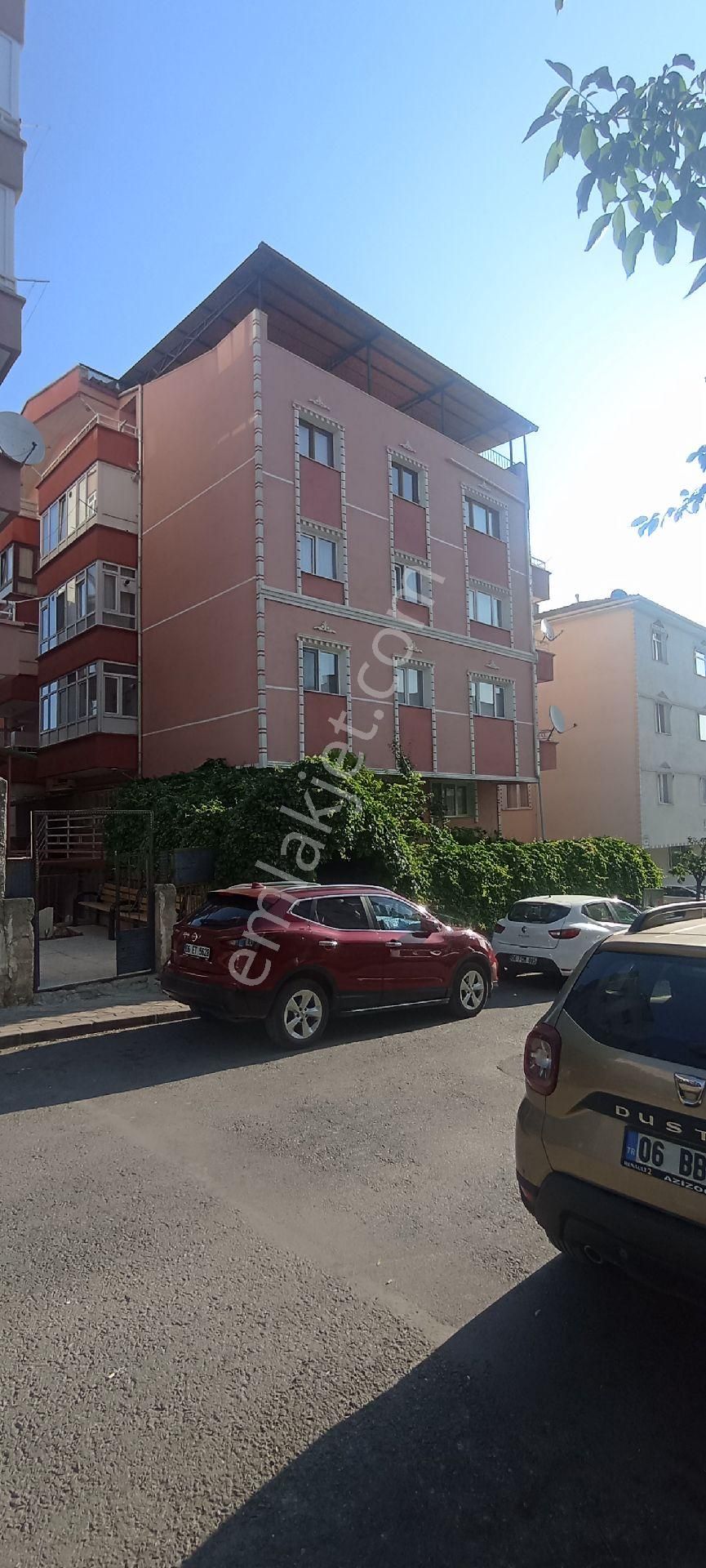 Acil Masrafsız Ferah Teras