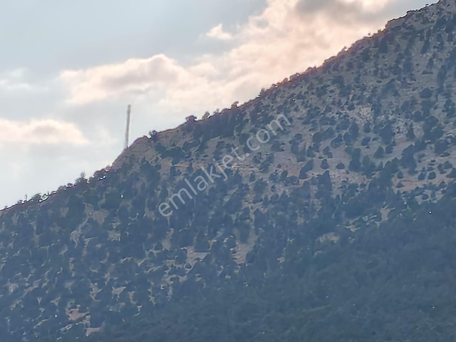 Pozantı Alpu Yaylasında 477 M2 Satılık Arsa