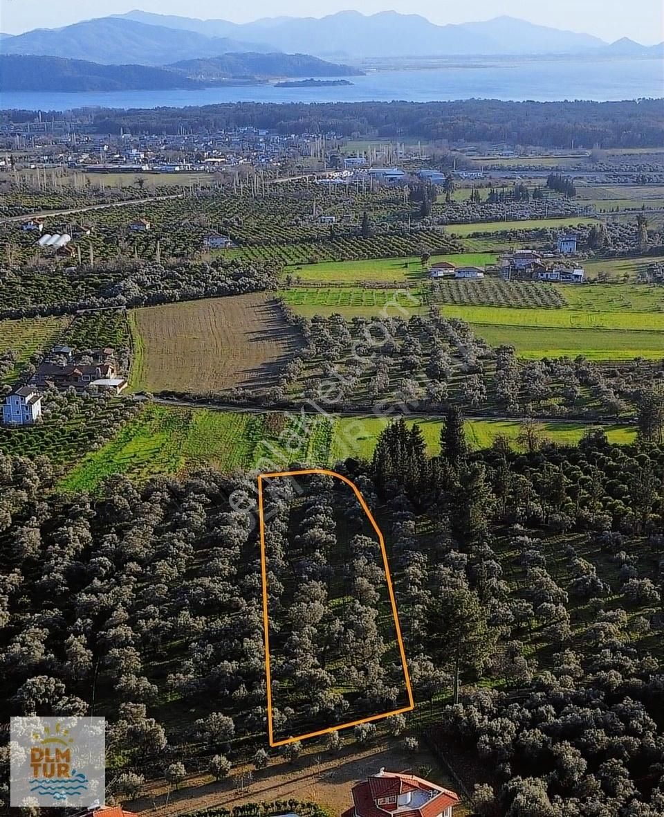 Dlm Tur'dan Köyceğiz'de Göl Manzaralı Satılık Tarla