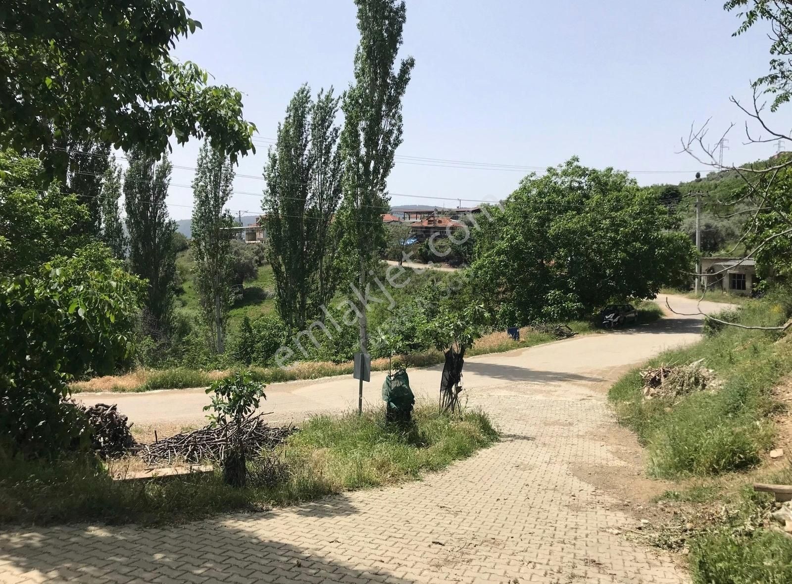 Turpa 360 Tire'den Satılık Köy İçi Bahçe