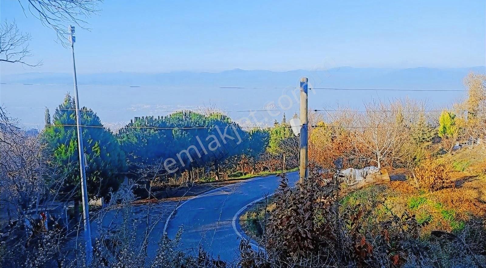 Tire Güme Mevkiinde 655 Metre Kare Satılık Bahçe