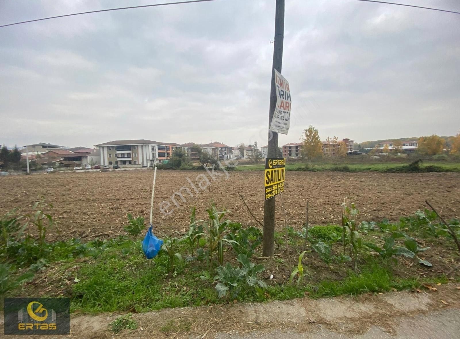 Arifiye Fatih Mahallesi Depo Antrepo İmarlı Arsa - Görsel 9