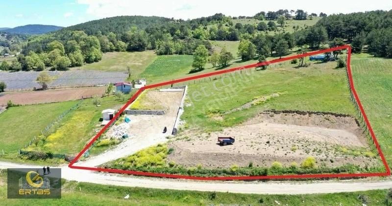 Pamukova Çilek'lide 7.108 M2 Resmi Yollu Satılık Tarla