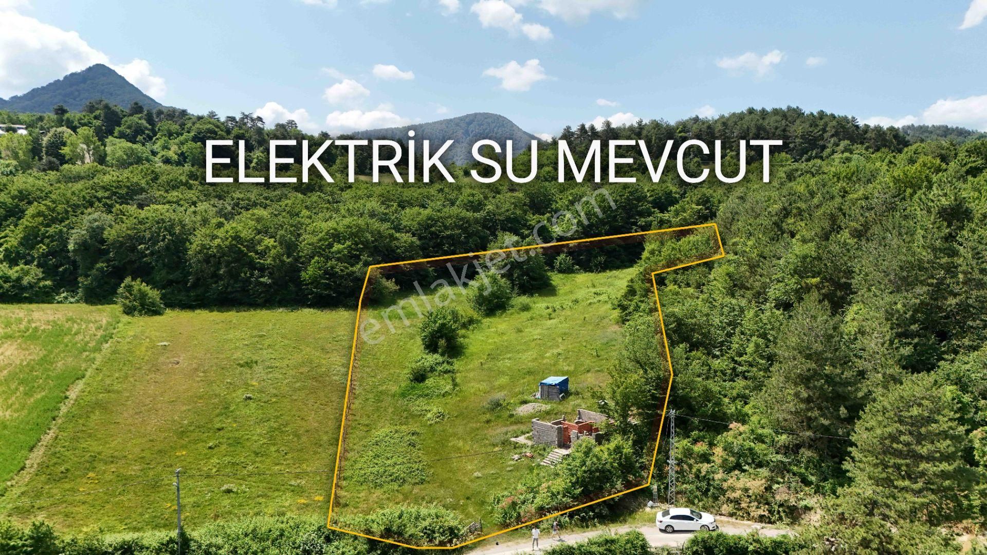 Kurtköy Ve Organizeye Yakın Elektiriği Suyu Açık İmarlı 5.660 M²