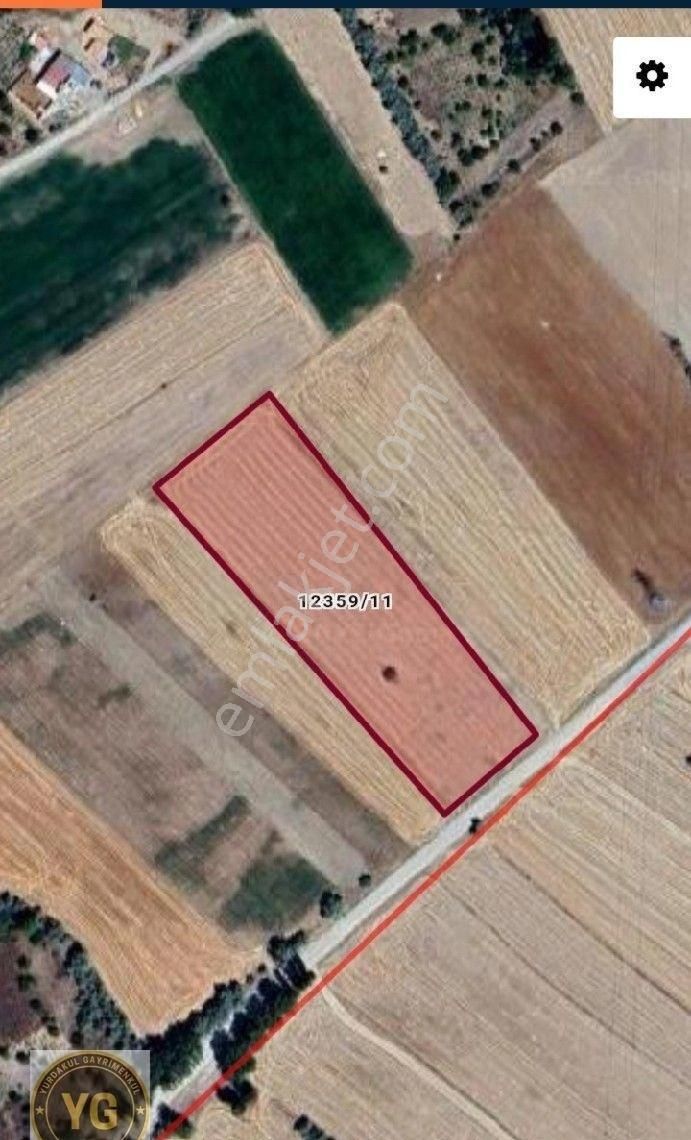 Yg/küçük Burunguz De Satılık Tarla