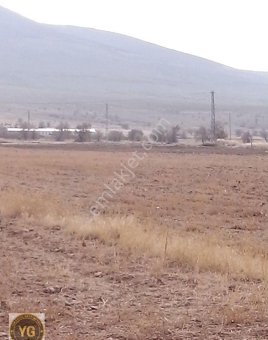 Subaşı Koyünde Tarla