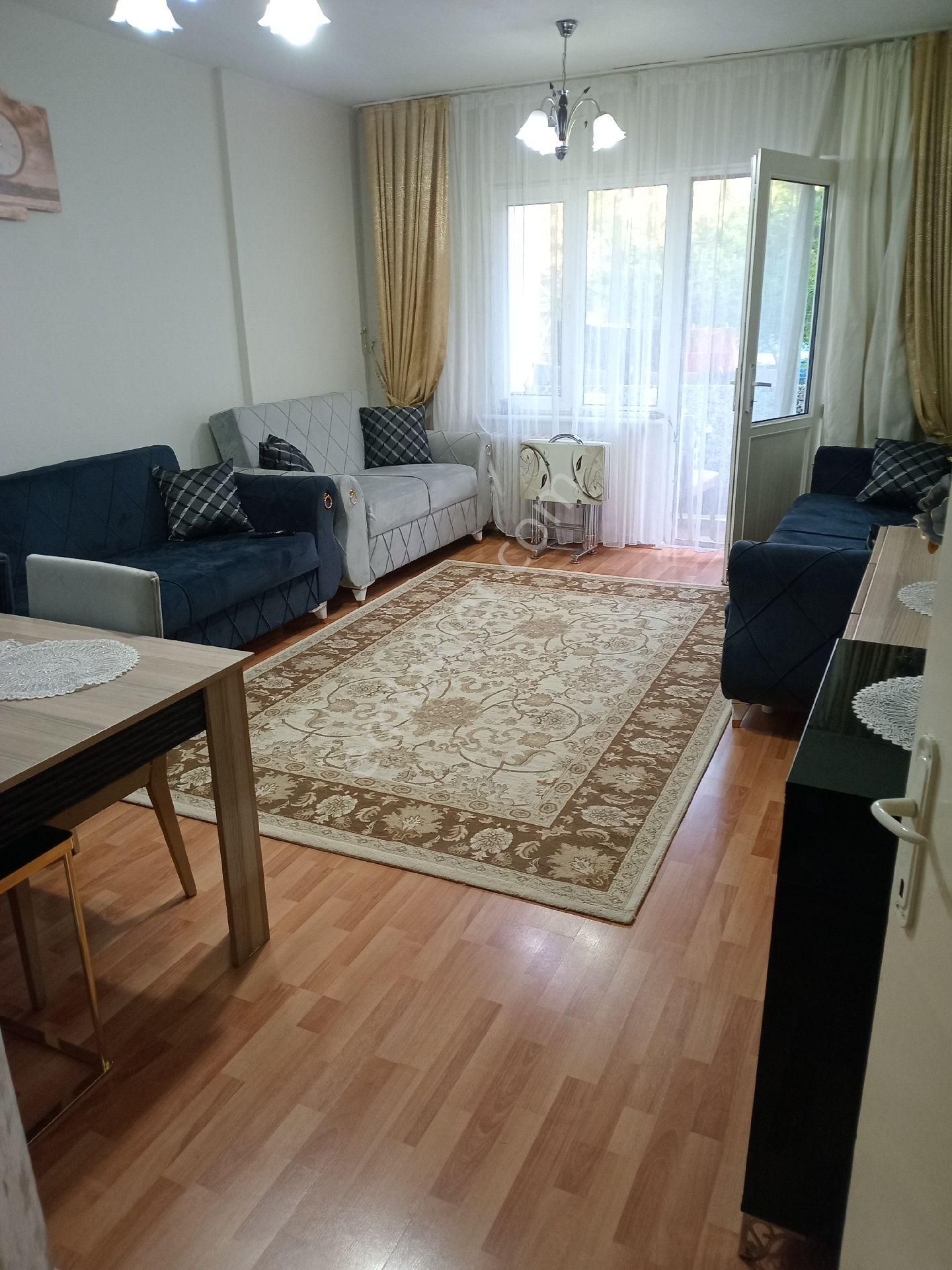 Site İcersinde