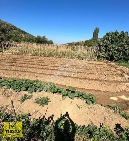 Ödemiş Çamlıcada 483m2 Tek Tapu Bahçe