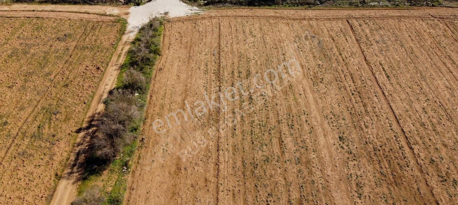 Isparta Keçiborlu Ana Yol'a Yakın Yatırımlık Tarla