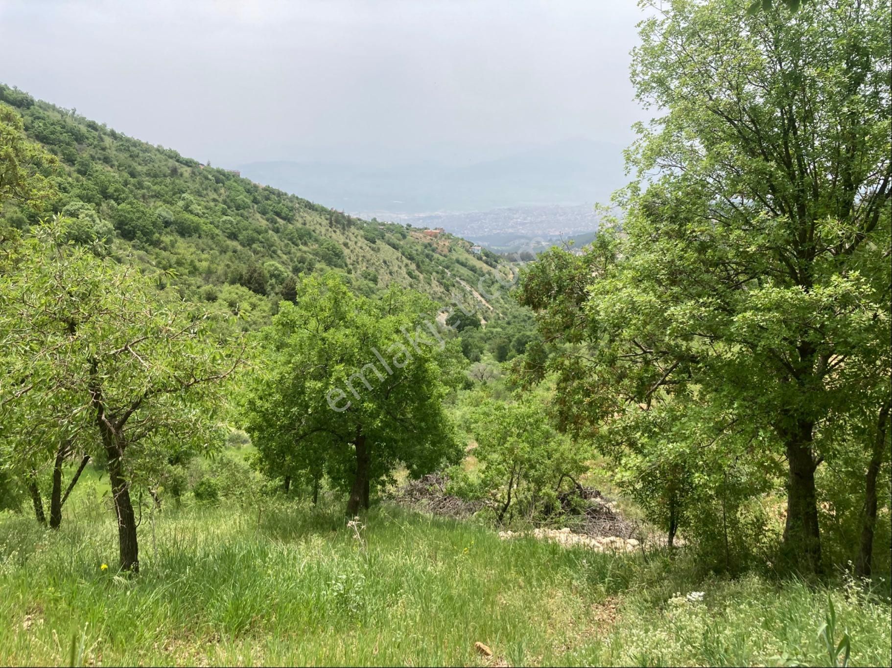 Sahibinden Satlık Bağ