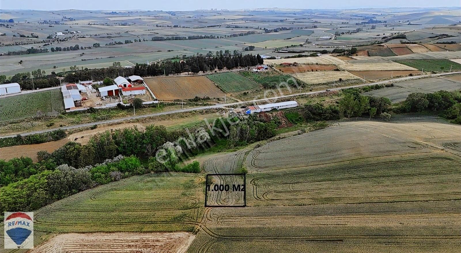 Muratlı Yeşilsırt Köyünde Satılık 1.000 M2 Arazi