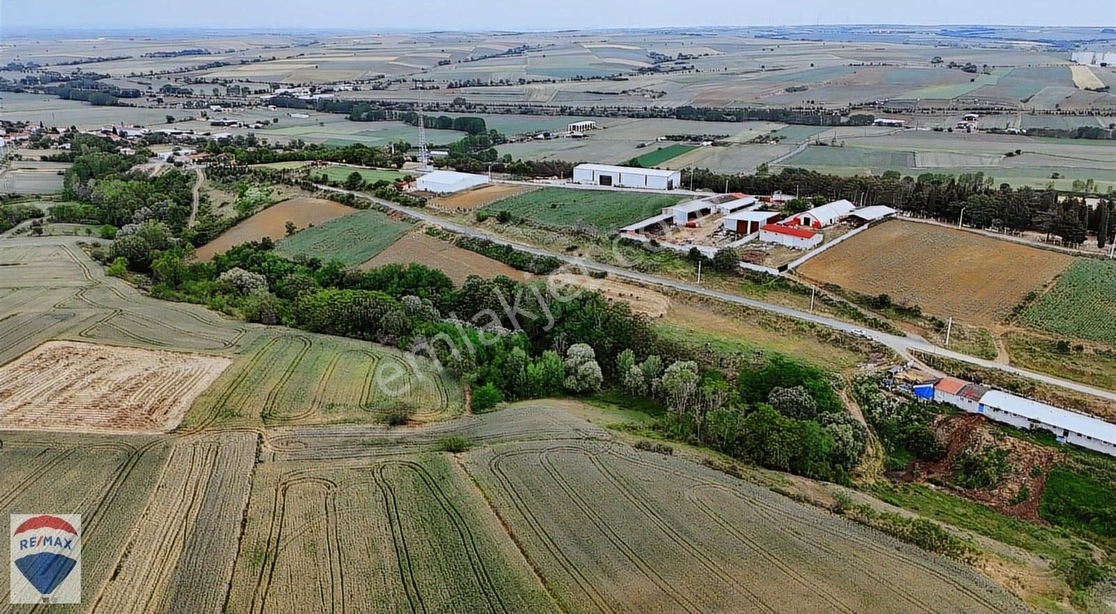 Tekirdağ Muratlı Yeşilsırt Mah. Satılık 3.000 M2 Arazi