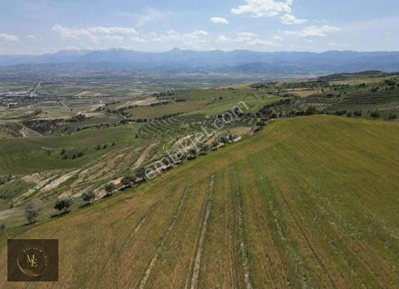 Muhtarım Emlaktan Yatırımlık Tarla